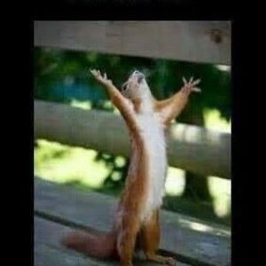 Meet your Posher, Kaleb